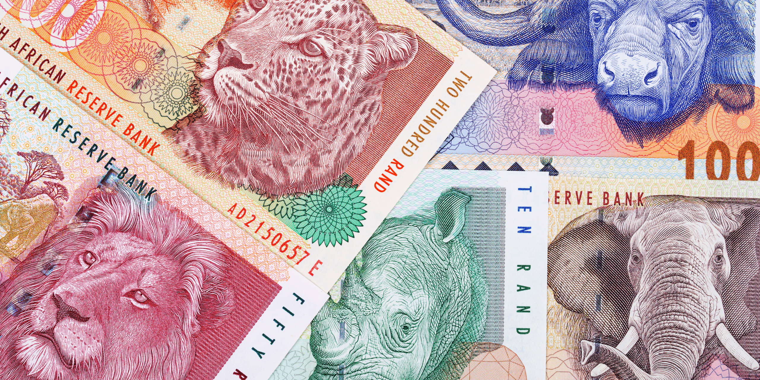 Three percent of revenue South African Rand banknotes featuring the Big Five animals: lion, leopard, rhinoceros, elephant, and buffalo. Used to illustrate the debate on funding BEE initiatives through a proposed 3% revenue levy, with concerns raised about fronting in the industry.