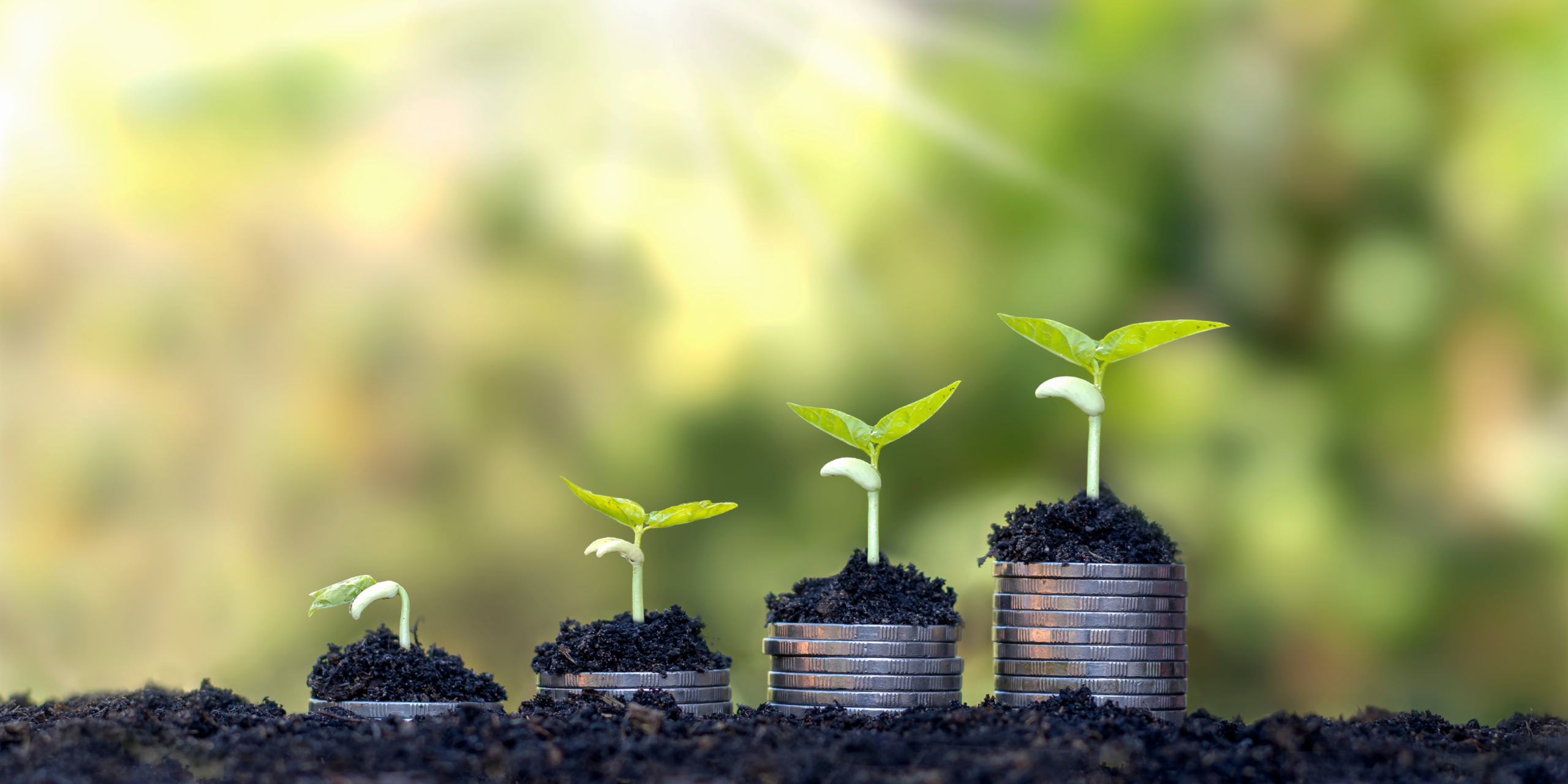 South African Rand banknotes featuring the Big Five animals: lion, leopard, rhinoceros, elephant, and buffalo. Used to illustrate the debate on funding BEE initiatives through a proposed 3% revenue levy, with concerns raised about fronting in the industry.