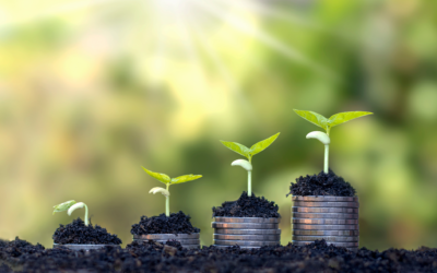 The Transformation Fund’s Achilles heel